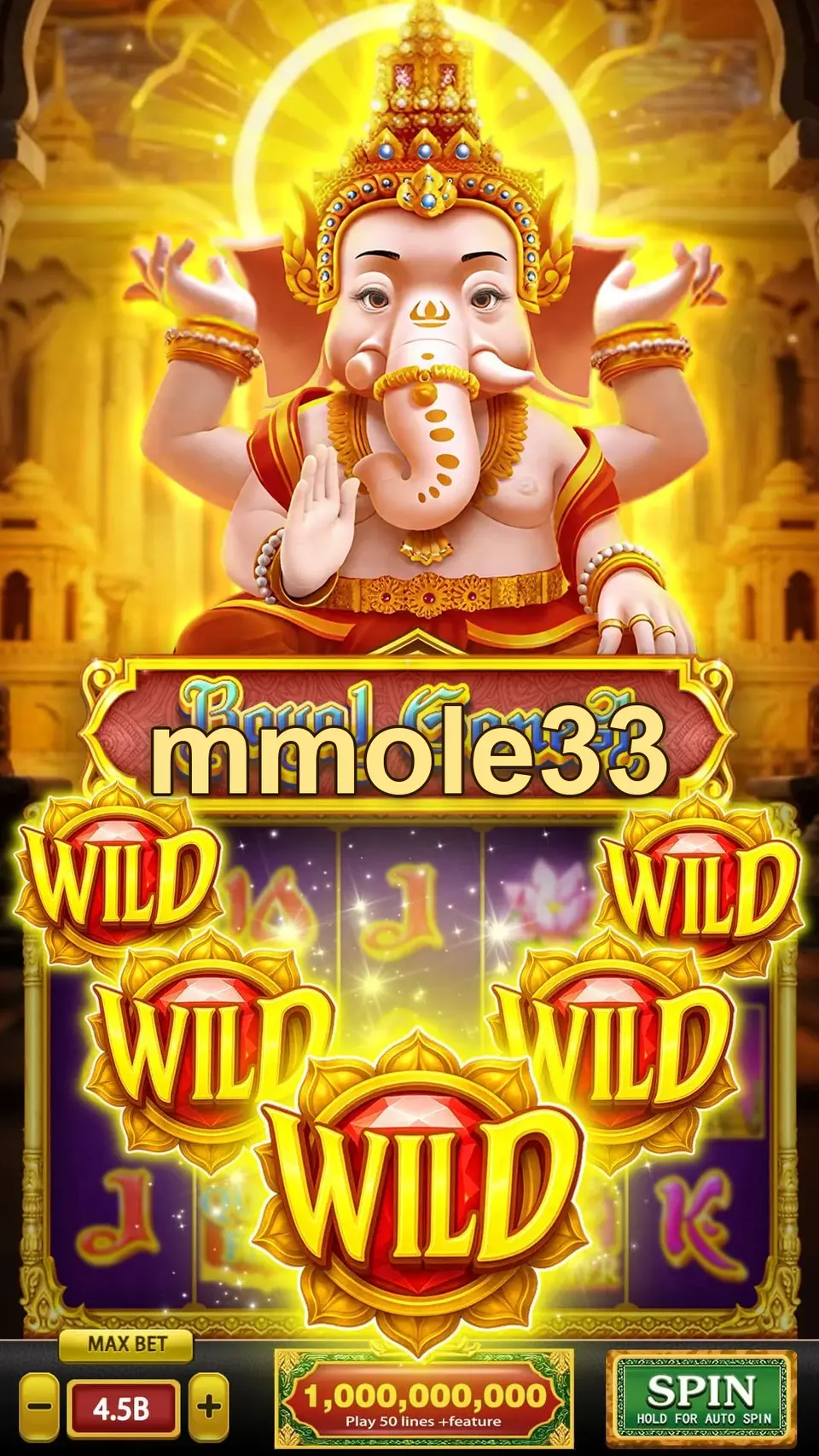 mmole33 Masuk